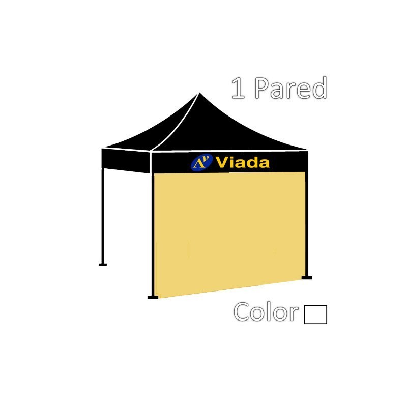 Pared para Pro4 (1ud.)
