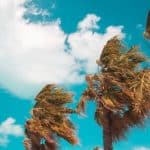 viento carpa plegable