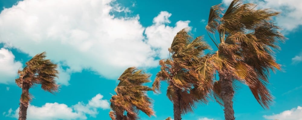 viento carpa plegable